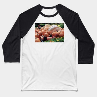 Chickens in the pumpkins Baseball T-Shirt